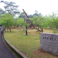 北桃旅遊｜軍艦岩親山步道.花卉試驗中心.行館梅花季二日｜中部出發