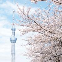 東京旅遊｜《人氣推薦》東京TAVINOS系列酒店4天3夜自由行(贈東京48小時地下鐵乘車券)★台灣虎航★｜高雄出發