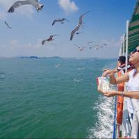 參團免小費｜首爾旅遊｜南怡島.歡樂愛寶樂園.水原星空圖書館.逛弘大_明洞五日