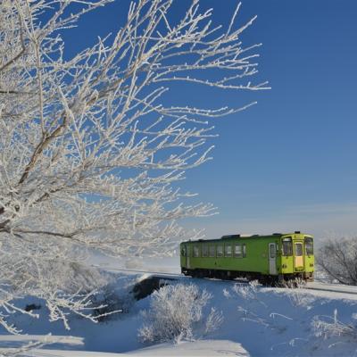 寒假優惠.東北青仙雙點|藏王山.森吉山２大樹冰纜車.銀山溫泉街.松島遊船.狐狸村.燒肉吃到飽.手燒魚板體驗六日