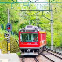 東京旅遊｜箱根鐵道.小田原城址公園.豐洲千客萬來.御殿場OUTLET.迪士尼.熟成牛吃到飽五日｜高雄來回