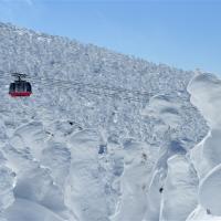 寒假折2,000|東北.銀山溫泉街.藏王樹冰纜車.狐狸村.仙台水族館.最上川遊船.松島.和牛餐.採果.溫泉五日