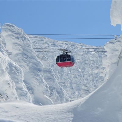 過年折3,000|東北２大樹冰纜車.最上川遊船.雪境列車.高山稻荷神社.夢幻水母館.全程溫泉.採果美食六日|青仙雙點進出