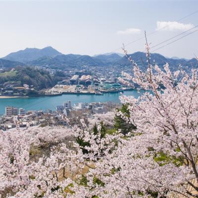 寵愛春櫻岡山四國｜名勝栗林公園.櫻百選松山城.金刀比羅宮.櫻花尾道千光寺.道後溫泉四日｜一晚溫泉｜回程贈五公斤行李｜高雄