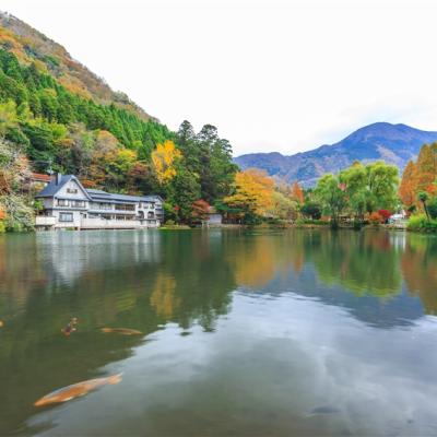 紫藤花x杜鵑花|春訪九州.豪斯登堡花之王國.柳川遊船.三大蟹吃到飽.阿蘇溫泉五日