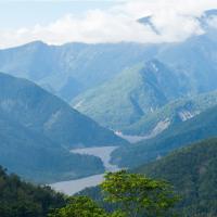 【台東旅遊．兩人成行】池上伯朗大道．山里教堂．二層坪水橋．戒治所咖啡1日