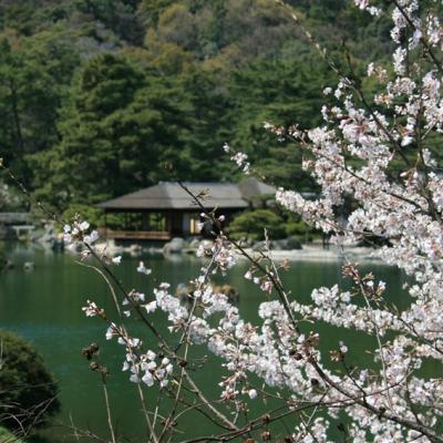 賞櫻高爾夫｜德島第一JClass球場‧鳴門XIV高爾夫度假村四晚連泊