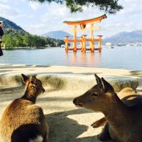 雙城四國廣島岡山旅遊｜三景嚴島神社.四季花卉讚岐滿濃公園.倉敷美觀地區.紙鶴塔祈福.瀨戶內海夢幻小豆島六日(高松/廣島)