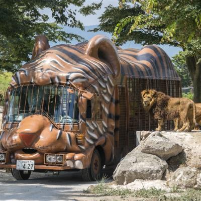 九州｜自然野生動物園.叢林巴士.金鱗湖~湯布院.南阿蘇鐵道.居酒屋料理.溫泉五日｜高雄直飛