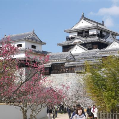 春櫻岡山四國｜旭川櫻花道.丸龜城.金刀比羅宮.松山城.寒霞溪纜車.大步危遊覽船.小豆島.DIY烏龍麵.道後溫泉五日