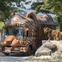 九州｜虎航｜自然野生動物園.叢林巴士.湯布院.萌熊電車.全新熊本城.雙溫泉五日｜高雄直飛