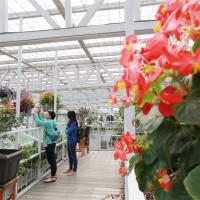 宜蘭旅遊｜景觀玻璃屋花園午餐．泰雅少女莎韻傳奇故事．莊嚴彌陀之家．蘇澳煙波冷熱泉2日