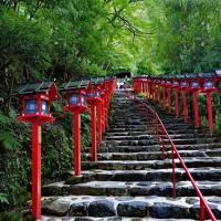 三零深度關西旅遊｜天橋立纜車.伊根灣遊船.三方五湖.貴船神社.淡路花卉公園.IG熱點幸福鬆餅八日｜高雄