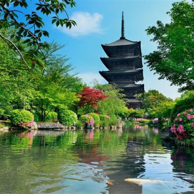 客製｜京都八条源町邸包棟民宿.教王護國寺.京都水族館.鐵道博物館迷你小團5日【專屬包車】(北/高出發)※不含機票