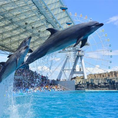 清明連休~親子遊名古屋｜樂高樂園.最帥大猩猩.海豚秀.合掌村.磁浮鐵道館.模型DIY.燒肉餐.名古屋萬怡x喜來登福朋六日