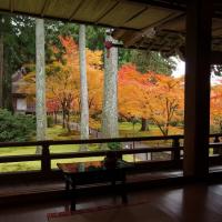 客製｜京都百年巷弄町家民宿一晚.京都御所.大原三千院.平等院.花之御院.奈良長谷寺迷你小團5日【專屬包車】※不含機票