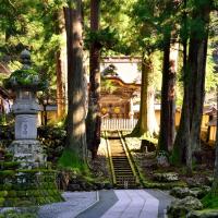 聰明玩北陸｜夢幻合掌村.玉兔之里.松本城.兼六園.永平寺.溫泉.OUTLET六日｜升等甜蝦吃到飽