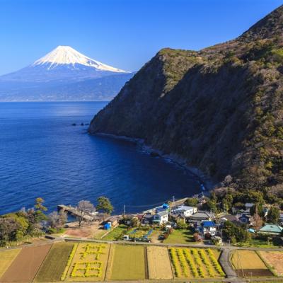 日本伊豆半島風情遊~東京、伊東、稻取、修善寺、堂島、三島6日