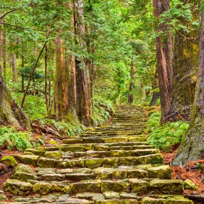 關西南紀旅遊｜熊野古道.那智大社.那智瀑布.鬼之城.太地町立鯨魚博物館.伊勢神宮.海女小屋五日｜高雄來回