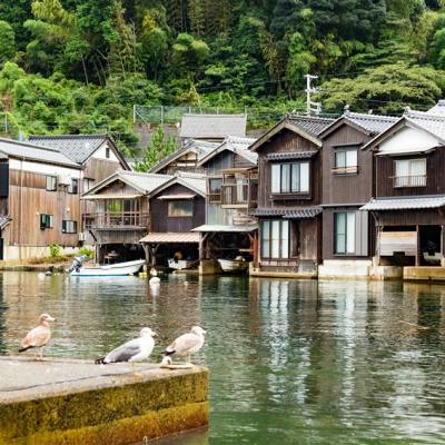 2025日本世界博覽會│大阪京都神戶旅遊│森之美山町合掌村,海之天橋立,伊根舟屋,茶之平等院五日│保住一晚溫泉