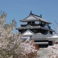 春櫻四國｜賞櫻名所～栗林公園.頓田川河堤畔櫻花.小豆島橄欖公園.採草莓五日｜台中出發