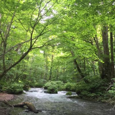 暑假預購｜狐狸村.銀山.藏王御釜.中尊寺.陸奧湖畔公園.松島.猊鼻溪.牛舌.AEON(一晚溫泉)【花仙/花花】