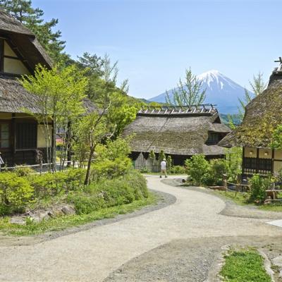 客製｜東京一晚星野.河口湖.根場合掌村.淺間神社迷你小團五日【專屬包車】天天出發※不含機票