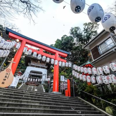 東京好享吃｜江島神社.蘆之湖遊船.忍野八海.台場購物五日