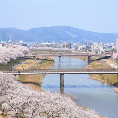 清明連休~北陸旅遊｜5大賞櫻名所~兼六園.丸岡城.松川賞櫻船.足羽川櫻花隧道.新穗高纜車.合掌村.甜蝦吃到飽五日｜不進店