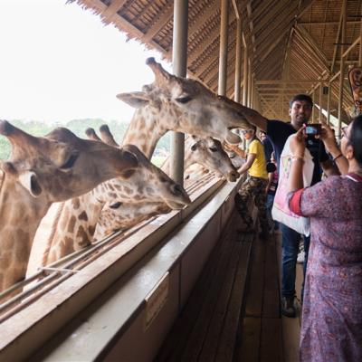 泰歡樂｜曼谷素坤逸克羅斯氛圍酒店自由行5日｜贈賽福瑞野生動物園、海洋公園一日體驗(含園區來回接送)