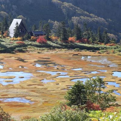 《主題旅遊》日本百名山～妙高山、火打山、上高地6日(含小費)