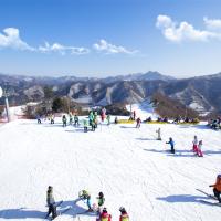 韓冬滑雪｜首爾｜早去晚回.升等住明洞飯店自由逛.滑雪體驗.臨津閣和平纜車.南怡島雪境.懸索吊橋.星光庭園(二站購物)五日