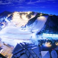 慢遊首爾半自助｜韓冬滑雪二次.一日市區一日滑雪場自由活動.連住近明洞兩晚.最靈奉恩寺.樂天塔.逛超市(一站彩妝購物)五日