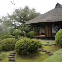 客製｜水戶偕樂園.日光東照宮.足利花卉公園.淺草雷門.迷你小團五日【專屬包車】(北/高出發)※不含機票