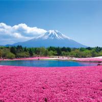 東京旅遊｜富士芝櫻.箱根鐵道.大涌谷.登上晴空塔.御殿場OUTLET.迪士尼五日｜高雄來回