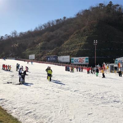 旅展優惠｜韓冬滑雪｜首爾｜滑雪體驗.暢遊樂天世界.南怡島雪境.淚之女王百貨.星空圖書館.必逛明洞.黑白大廚白種元餐廳五日