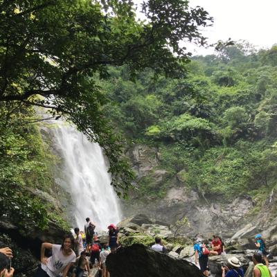 屏東旅行｜38女王節｜重新開放涼山瀑布步道．潮州粉嫩花旗木1日｜大人囝仔｜高雄出發