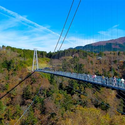 一起揪吧九州｜保住別府灣和藏.熊本城.九重夢吊橋.南阿蘇鐵道.兩晚溫泉五日|升等長腳蟹吃到飽