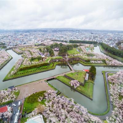 北海道旅遊｜春櫻綻放！五稜郭.函館夜景纜車.OUTLET.小樽.浪漫花火.三大螃蟹溫泉五日｜一晚五星三晚溫泉