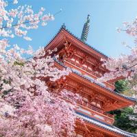 關西旅遊｜《雙城遊》京都五条坎帕納ｘ大阪道頓堀酒店6天5夜自由行★台灣虎航★含稅．含20公斤行李｜高雄出發