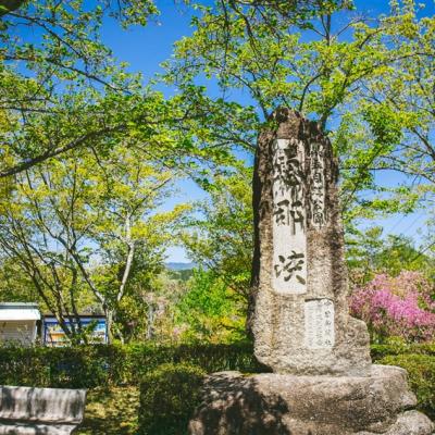 春櫻北陸｜櫻百選之所.鬱金香.最大級彩燈~名花之里.惠那峽遊船.金箔冰五日｜雙溫泉