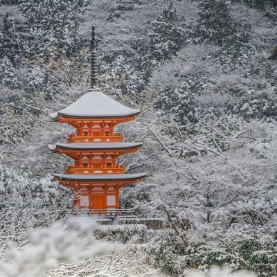 迎春折2000｜大阪旅行｜環球影城瑪利歐.奈良東大寺.抺茶體驗.清水寺.戲雪草莓螃蟹六日｜環球影城旁飯店｜高雄來回