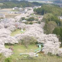 春櫻南北|九州賞櫻名所.高千穗峽.日南太陽花園.櫻島渡輪.仙巖園.雙溫泉五日