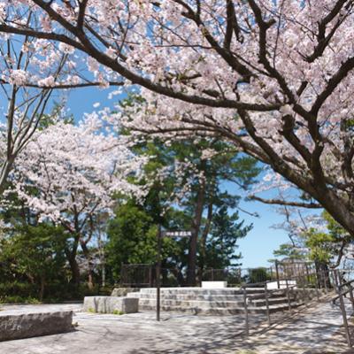 九州｜春櫻名所｜金麟湖~湯布院.宇佐神宮.黑川溫泉.和牛燒肉吃到飽.太宰府~旅人列車.溫泉五日|高雄直飛