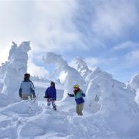 ITF旅展優惠~東北旅遊|藏王樹冰雪怪車.銀山溫泉街.會津若松城.合掌村.熊野大社.仙台牛舌餐.溫泉五日