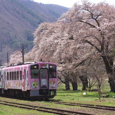 東北旅遊|百選賞櫻名所~會津若松城.會津鐵道.置賜回廊.三春瀧櫻.合掌村.東光酒藏.米澤牛餐.展望露天之湯有馬館溫泉五日