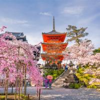 大阪旅遊｜春櫻京阪神~日本環球影城瑪利歐.醍醐寺.嵐山小火車.哲學之道.神戶水族館六日｜環球旁飯店｜高雄來回