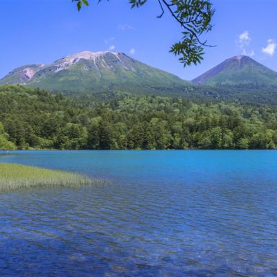 玩樂369北海道旅遊｜阿寒湖燈光秀.薰衣草DIY.古趣農車遊花田.夢幻真鍋庭園.三大蟹哈密瓜美食五日｜保住三晚溫泉