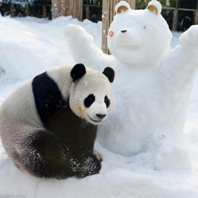 冬遊首爾｜促進新陳代謝到地汗蒸幕.超夯冬季滑雪.可愛刺激兼具愛寶樂園五日