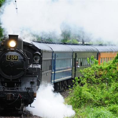 名古屋靜岡茶香巡禮～SL大井川鐵道｜日本平纜車~富士山絕景.濱名湖遊船.牧之原茶園.久能山東照宮.岡崎城.螃蟹溫泉五日